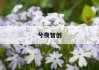 无缝管每米价格：揭秘影响因素与计算方法