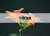 窗帘价格计算攻略：揭秘窗帘价格构成与选购技巧