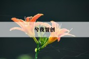 窗帘价格计算攻略：揭秘窗帘价格构成与选购技巧