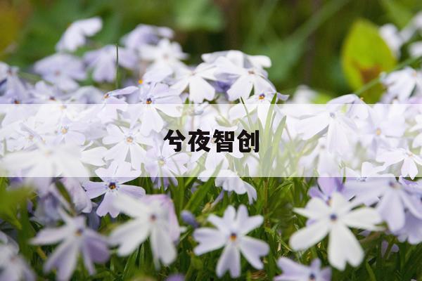 长途货运价格之谜：揭秘计算公式与优化策略